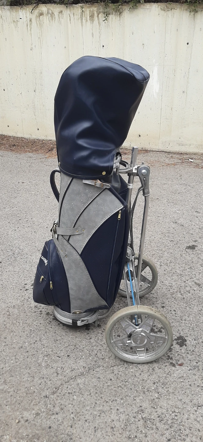 Spalding Golf Bag with Clubs and Cart - photo 4