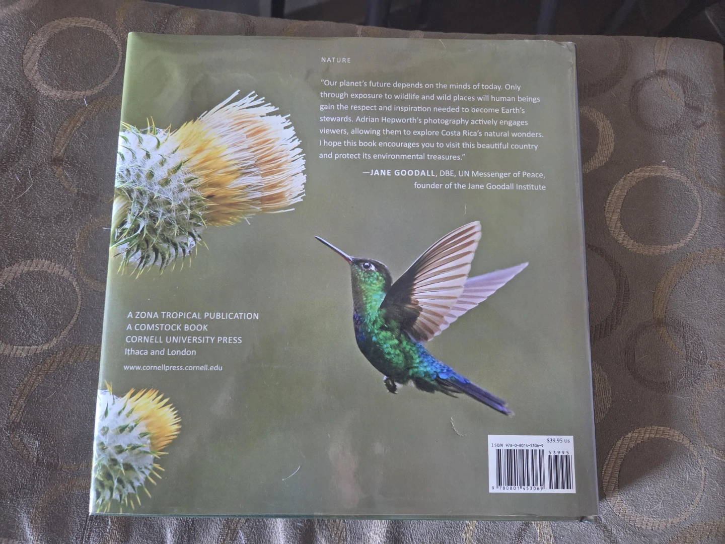 Costa Rica: A Journey through Nature - photo 2