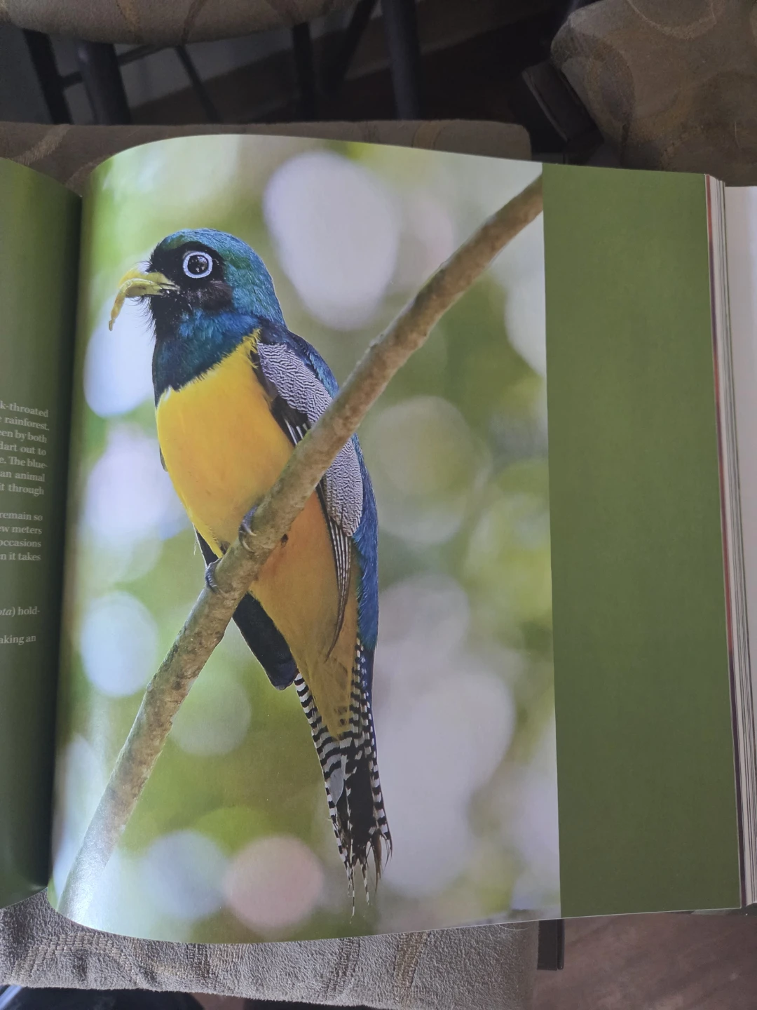Costa Rica: A Journey through Nature - photo 3
