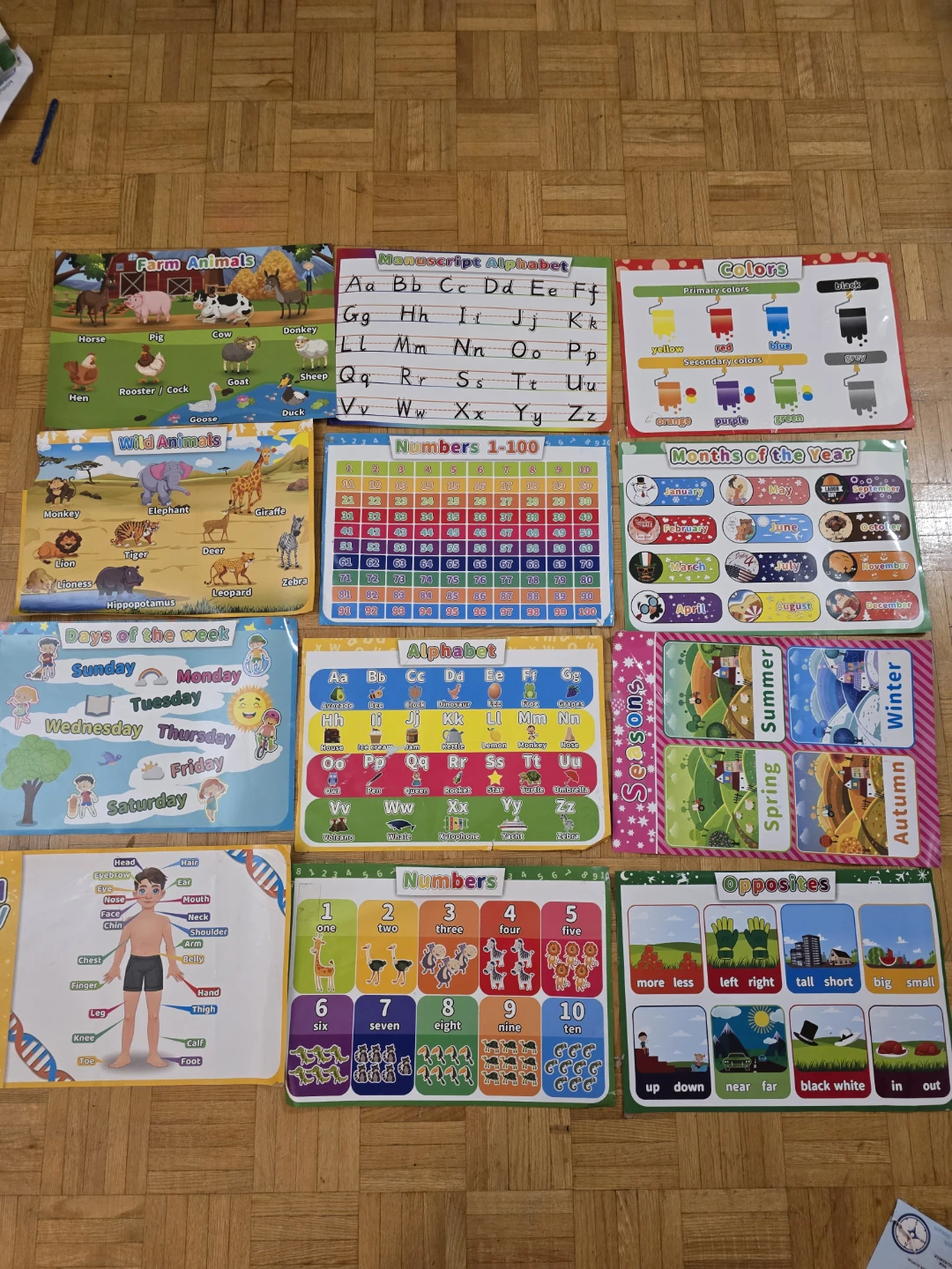 Set of Educational Charts for Kids