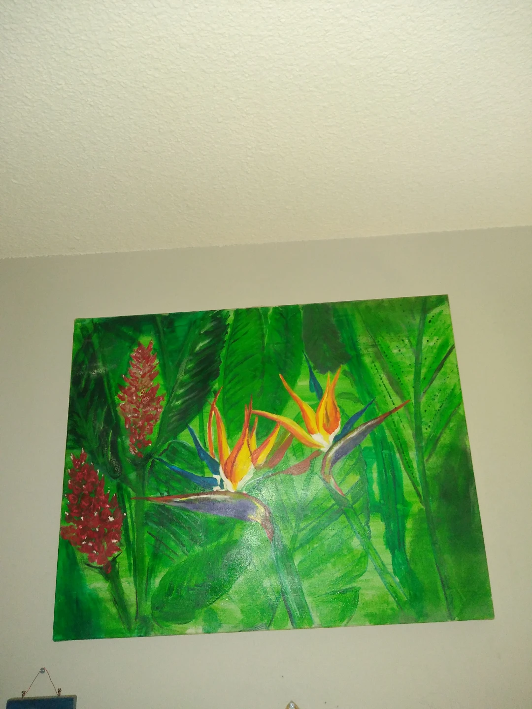 Bird of paradise