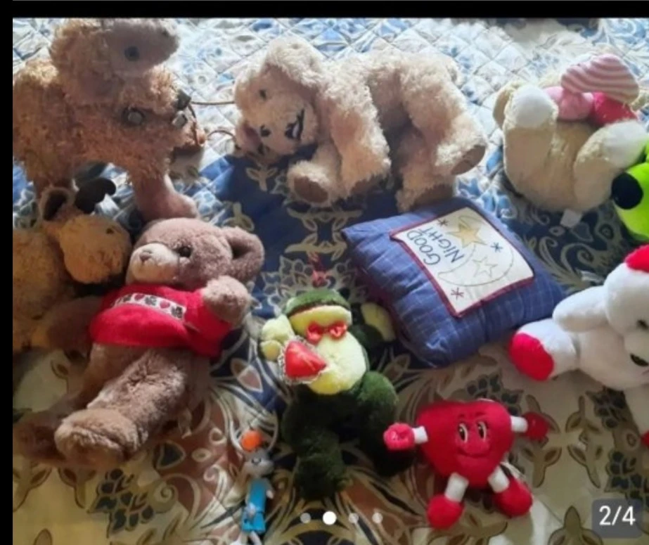 Assorted Plush Toys Bundle - photo 2