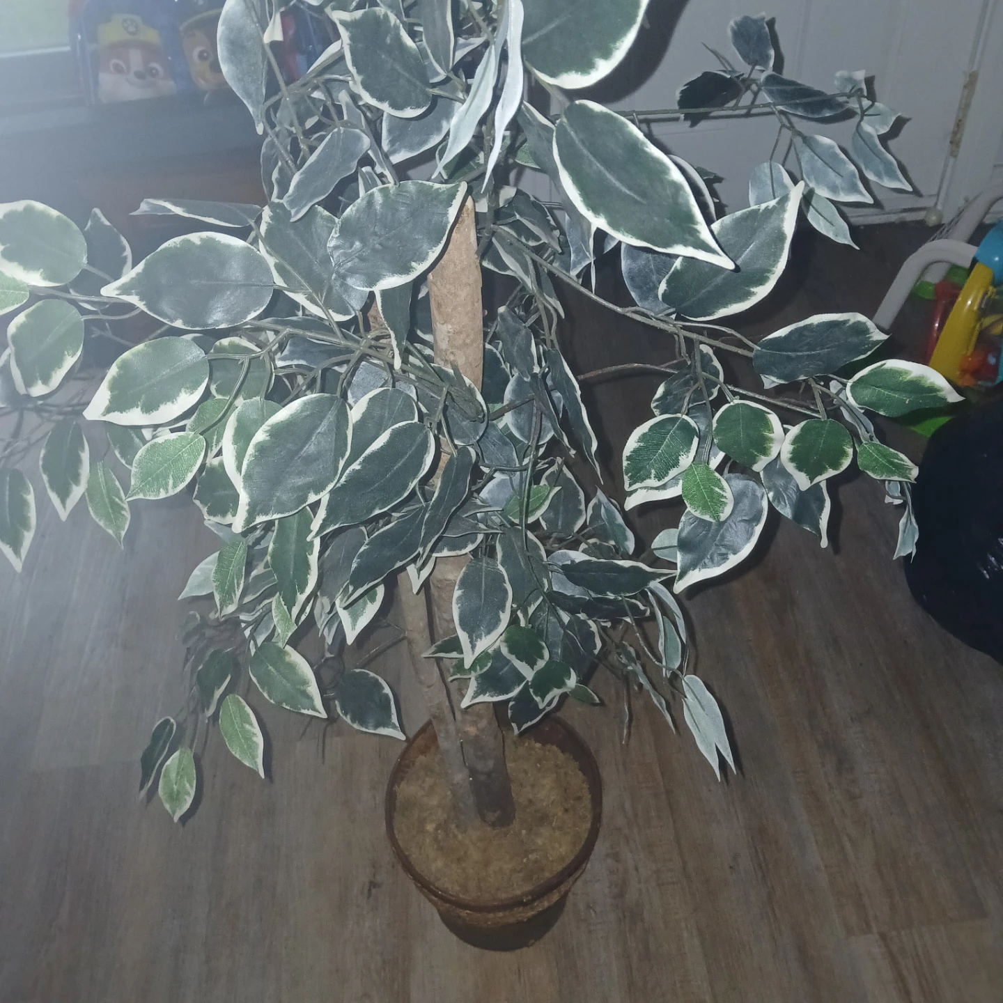 Faux Ficus Tree Plant