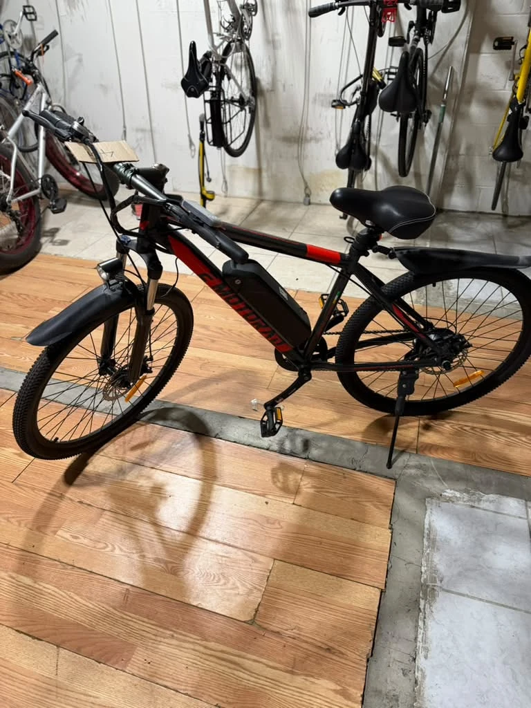 EMOTORAR Electric Mountain Bike - photo 2