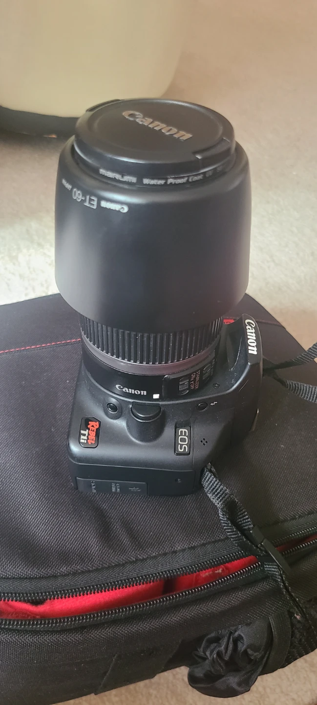Canon EOS Digital Camera with EF-S 55-250mm Lens - photo 4