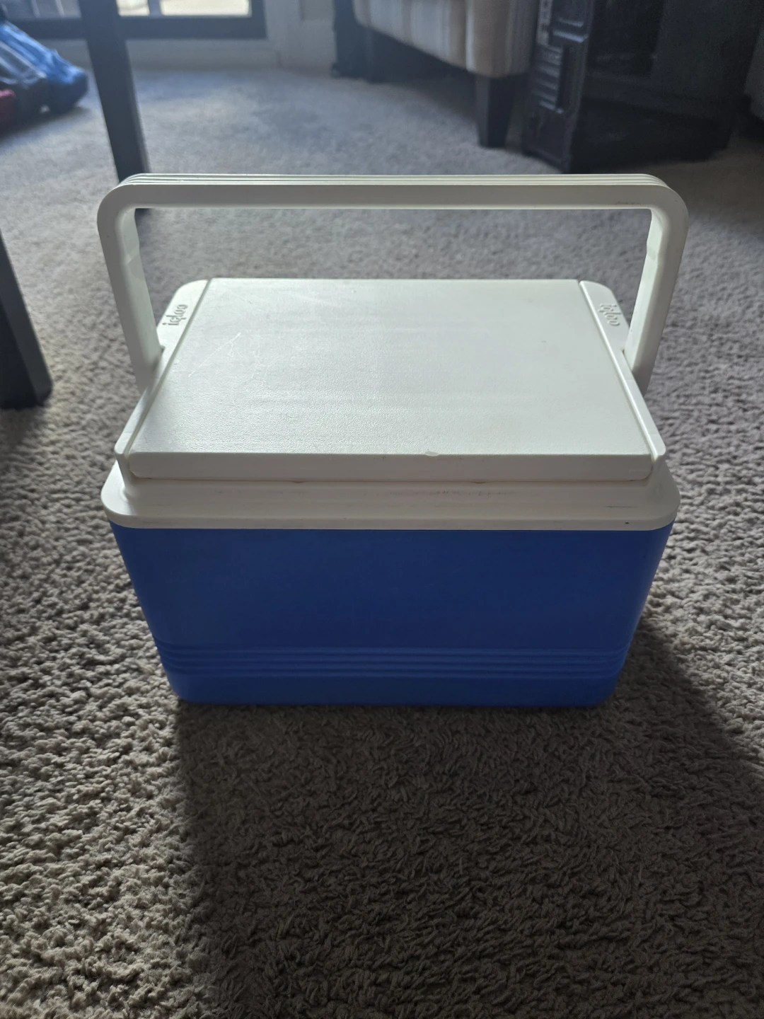 Igloo Cooler, Legend 12, blue, 9 Quart - photo 3