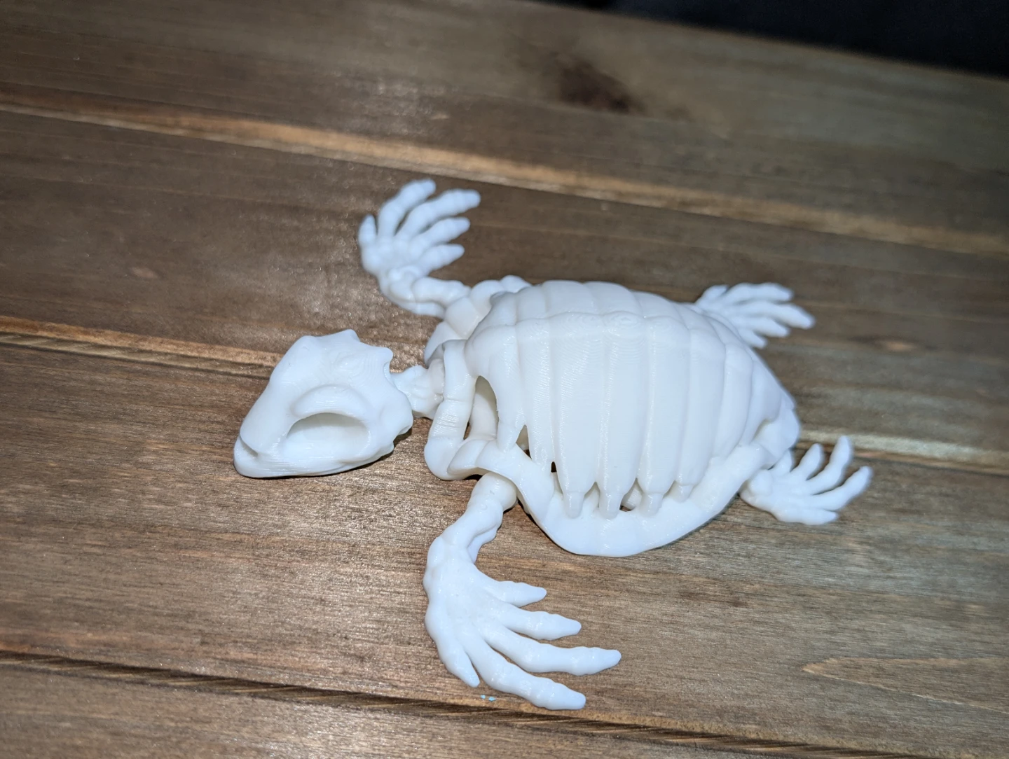 White 3D Printed Turtle Skeleton Figurine