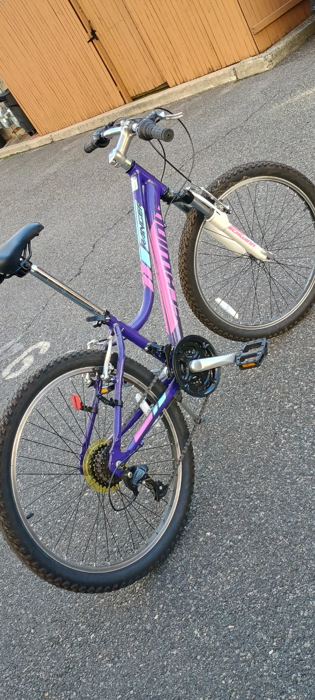 Schwinn Ranger Female 24" Mountain Bike