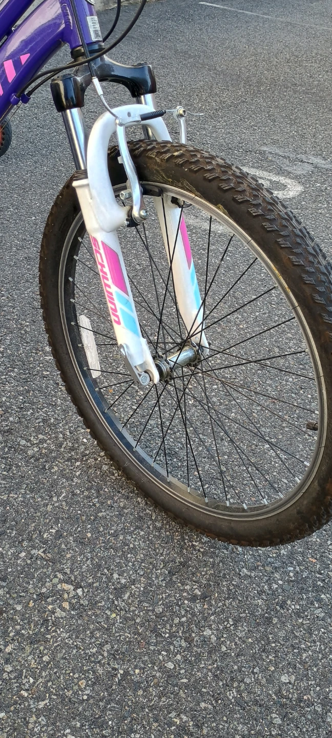 Schwinn Ranger Female 24" Mountain Bike - photo 2