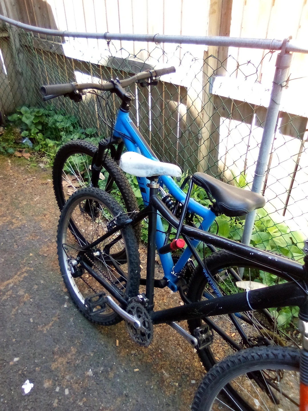 Blue Mountain Bike