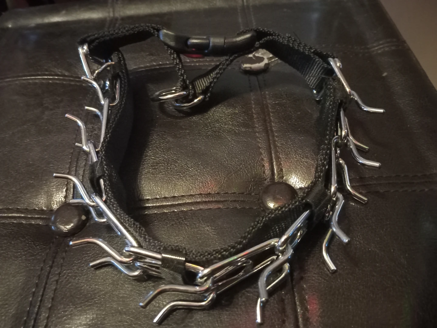 Dog Training Collar with Prong