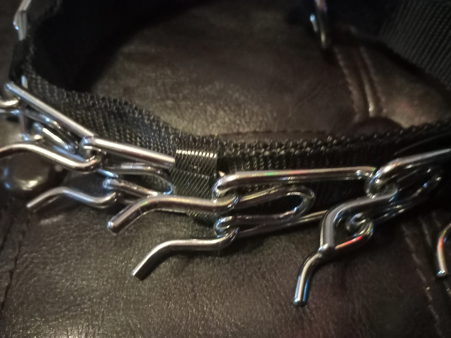 Dog Training Collar with Prong - photo 2