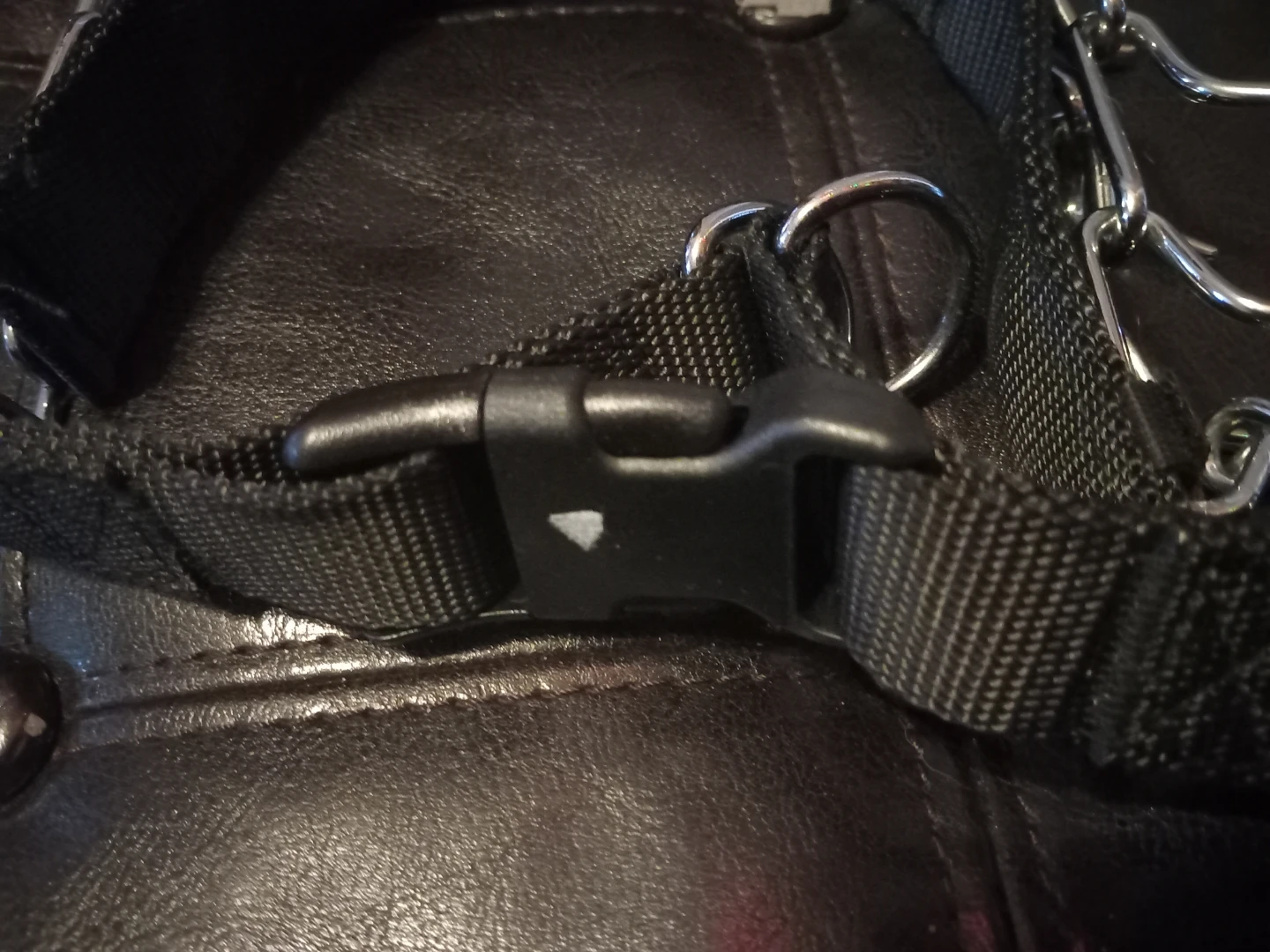 Dog Training Collar with Prong - photo 3
