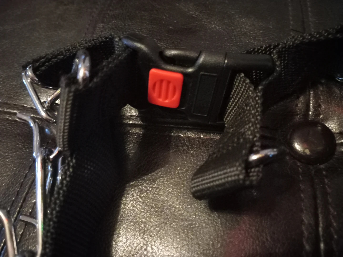 Dog Training Collar with Prong - photo 4