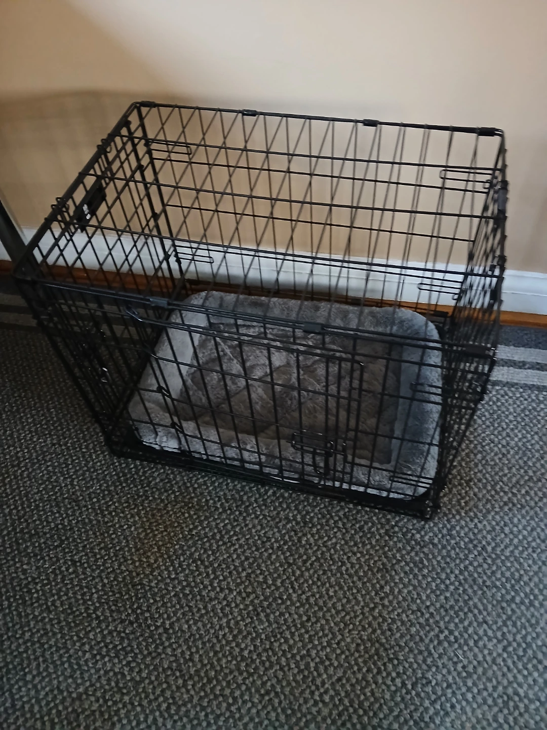 Wire Dog Crate with Cushion