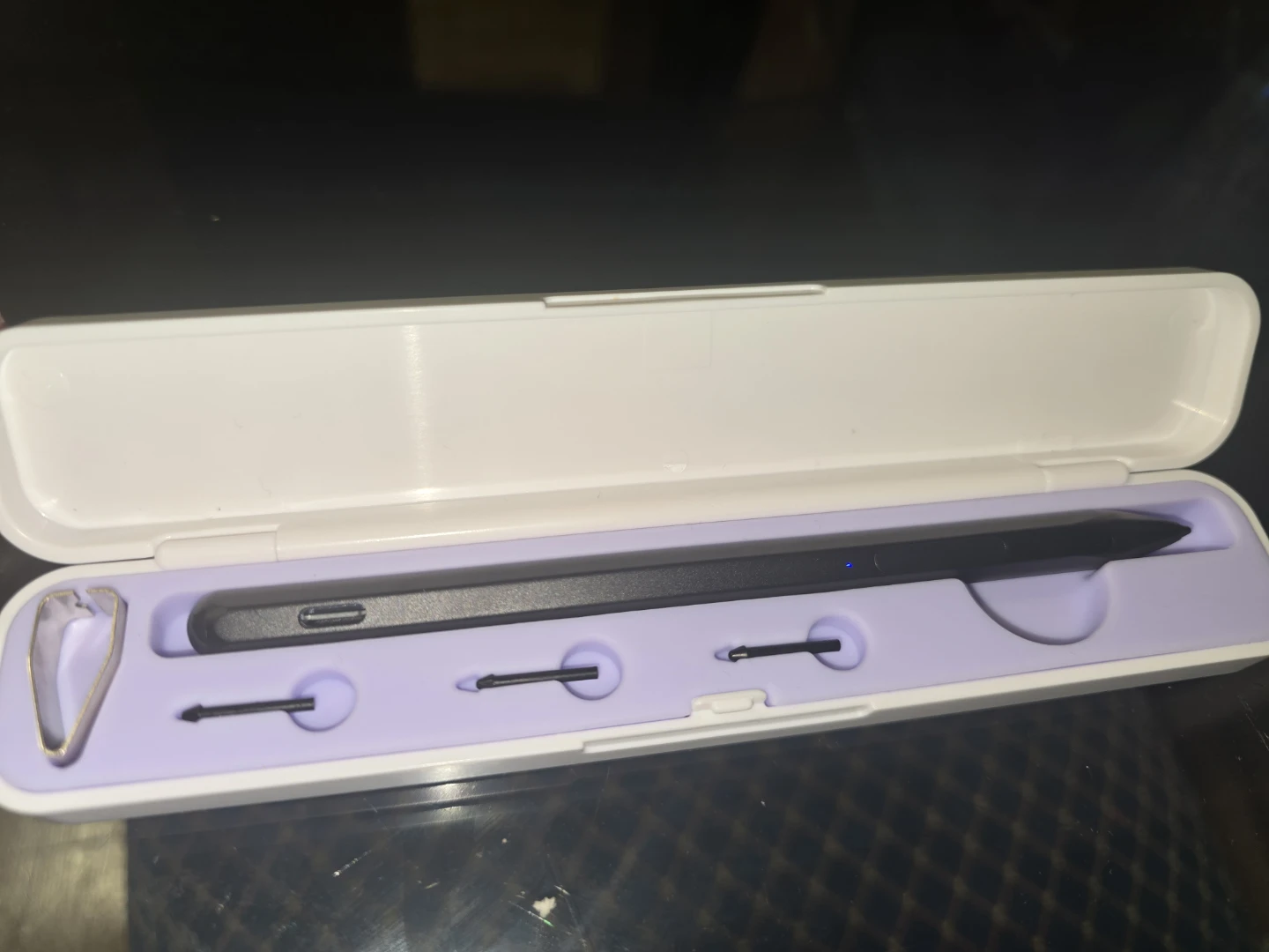 Stylus Pen with Replacement Tips and Case