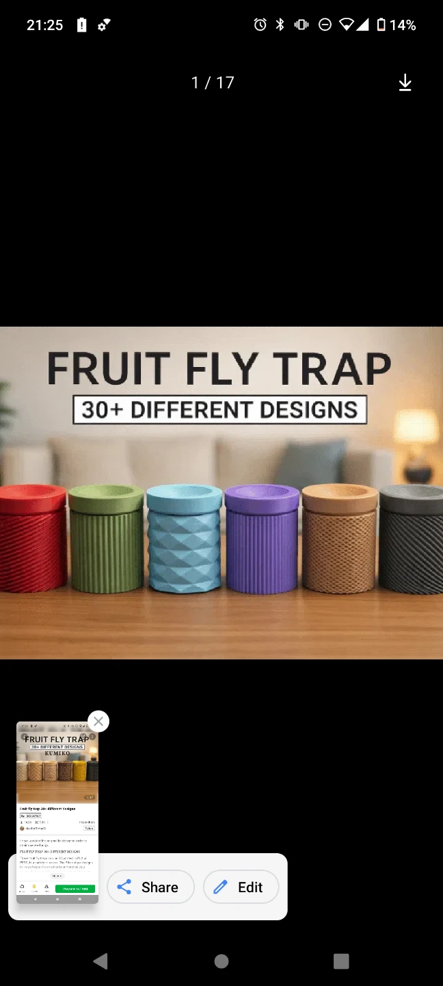 Kumiko Fruit Fly Trap