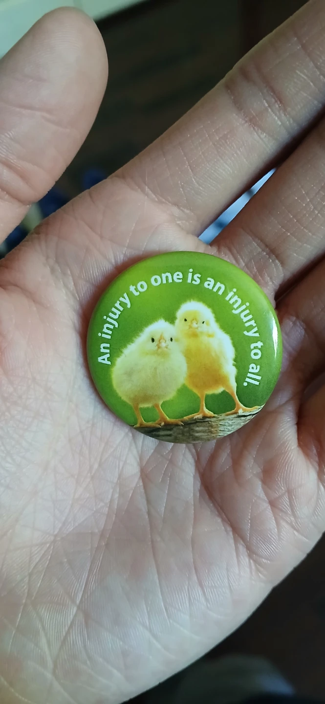 Button with Chicks and Quote