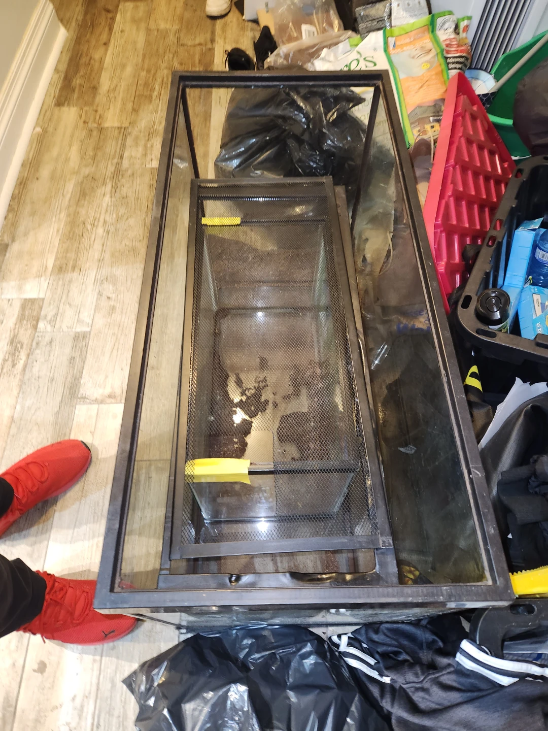 Glass Terrarium Tank
