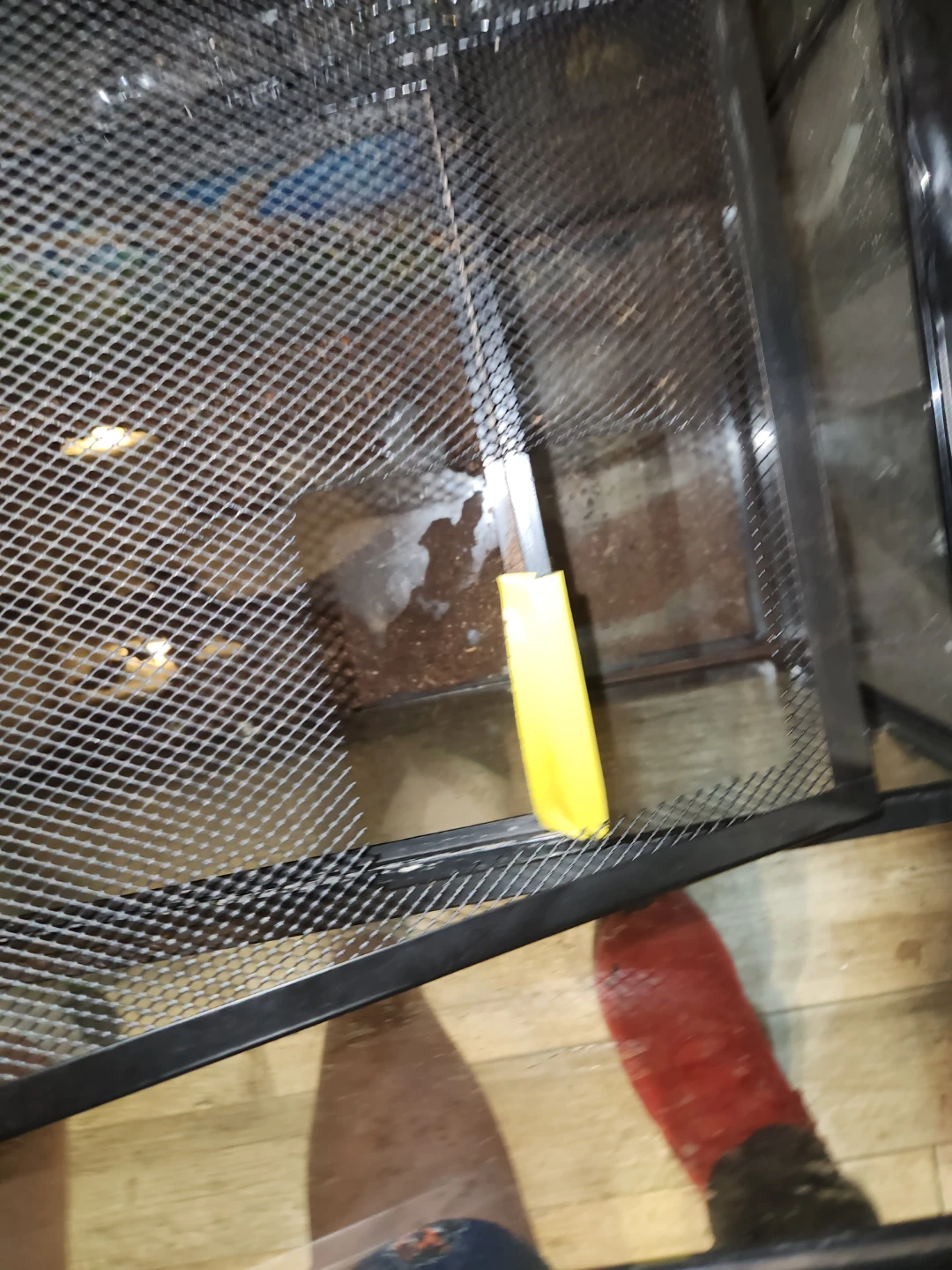 Glass Terrarium Tank - photo 3