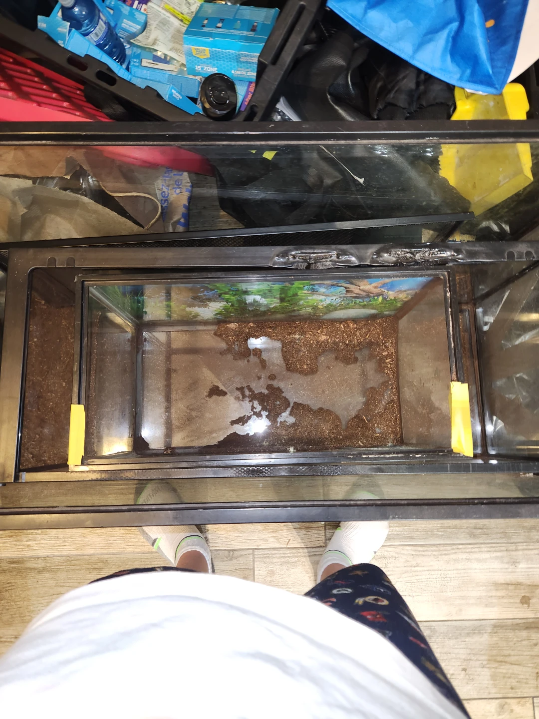 Glass Terrarium Tank - photo 4