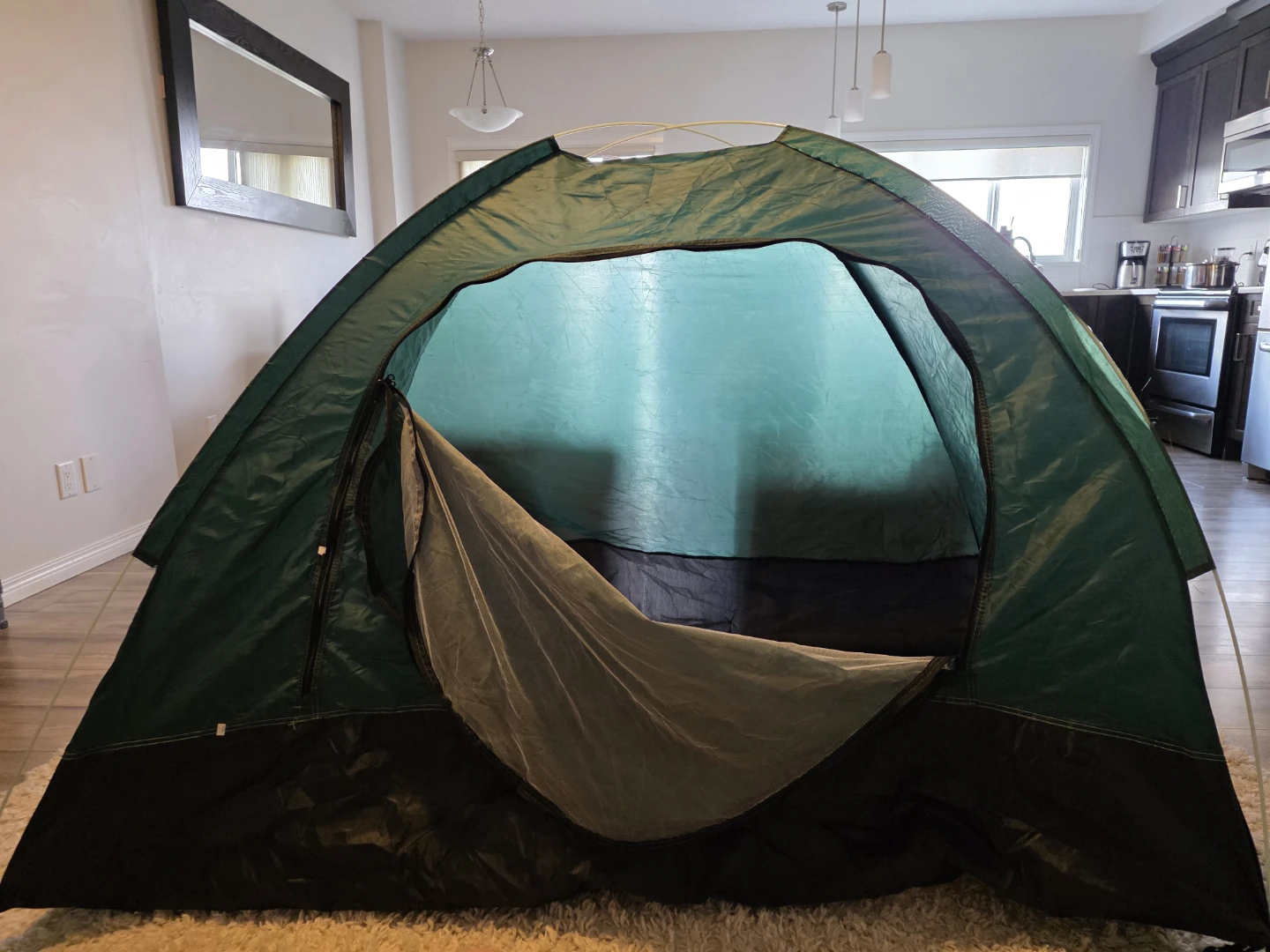 Green Dome Tent