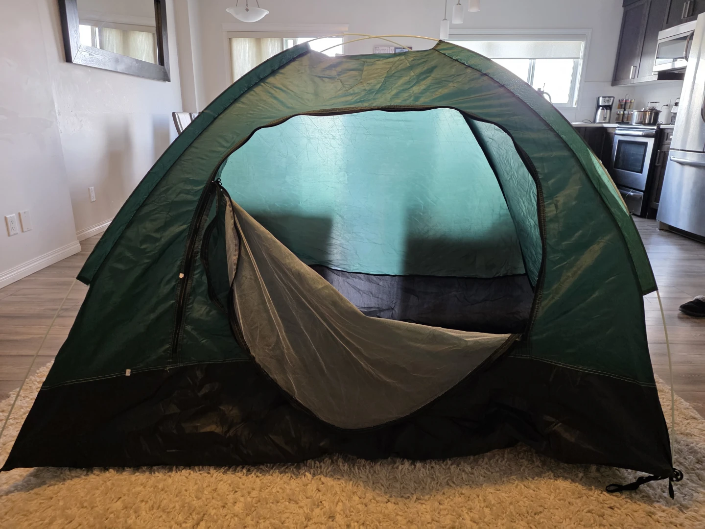 Green Dome Tent - photo 2