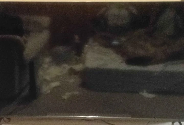 Philips Smart Roku TV - photo 2