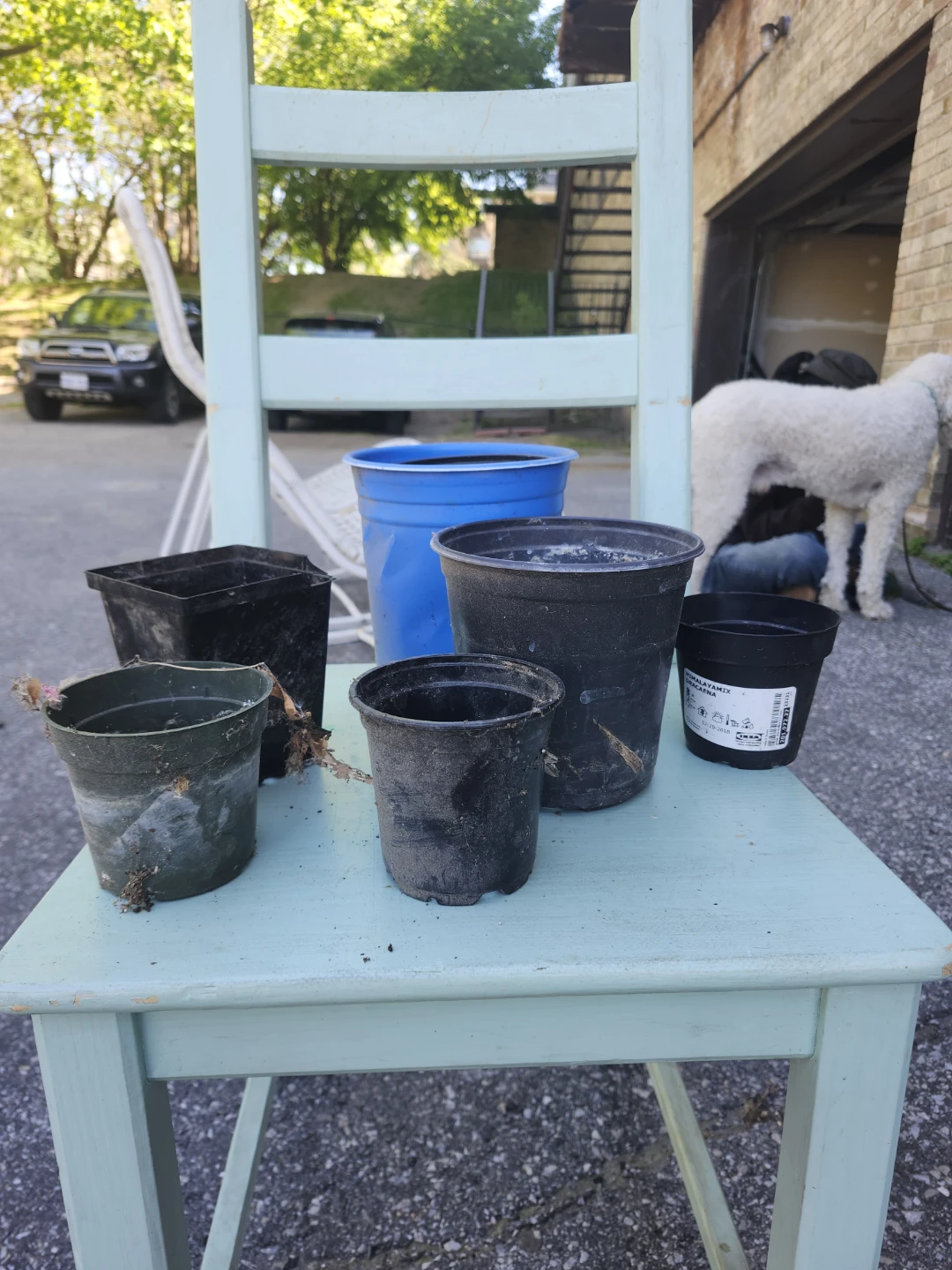 Assorted Plant Pots