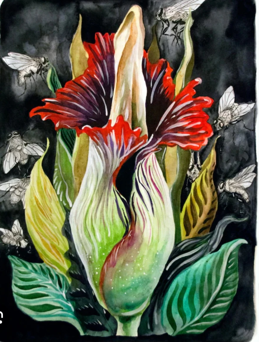 Watercolor Painting of Corpse Flower and Flies