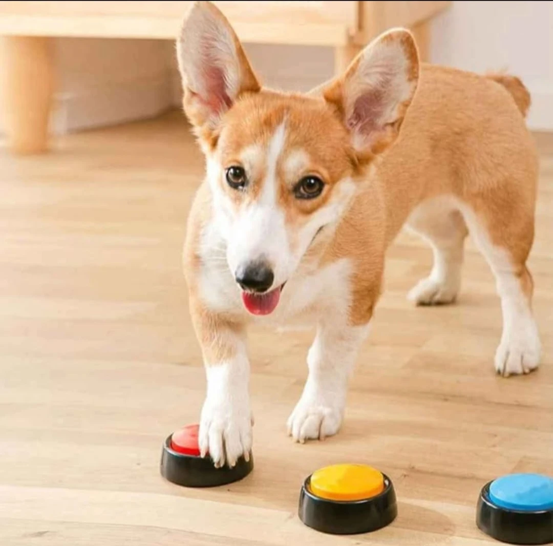 4 pack Voice Recording Button,Dog Buttons for ...