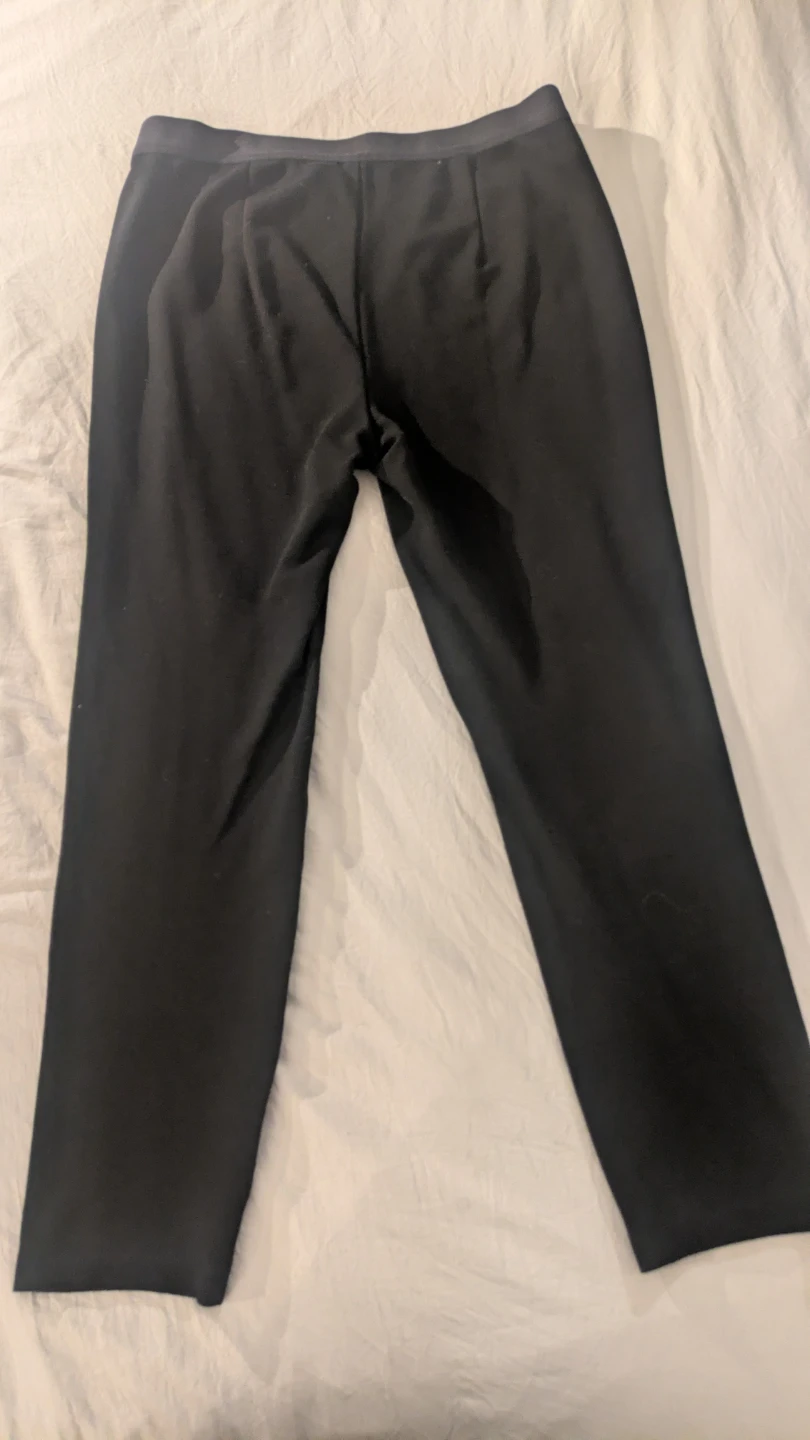 Eileen Fisher 100% Lamb Suede Pants (Cotton Back) - photo 3