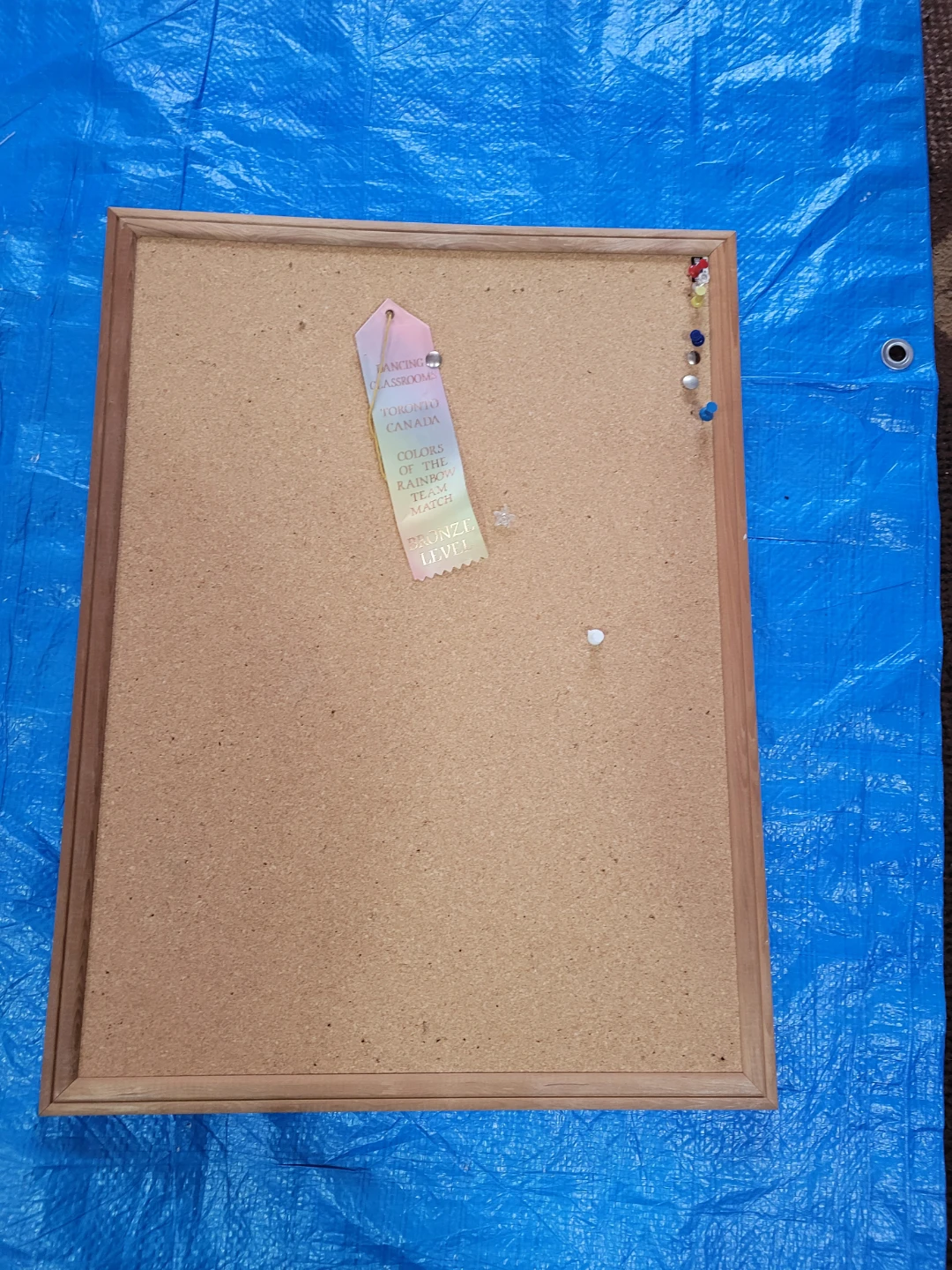 Cork Bulletin Board with Wooden Frame