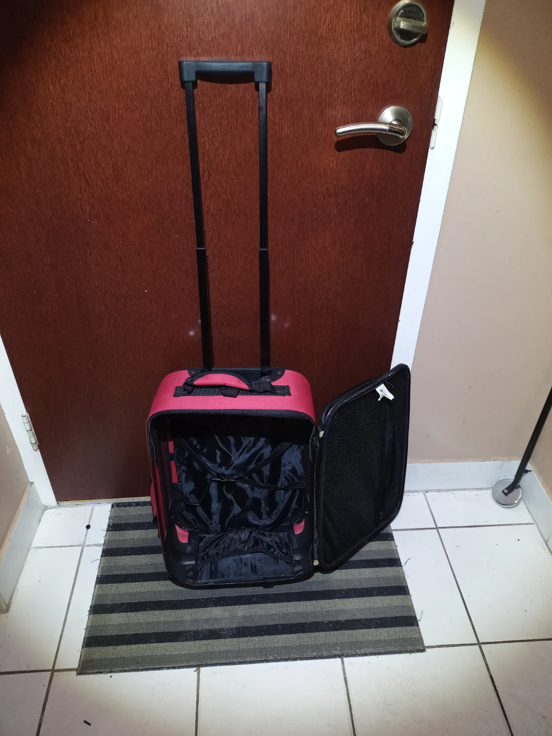 Small Luggage - photo 2