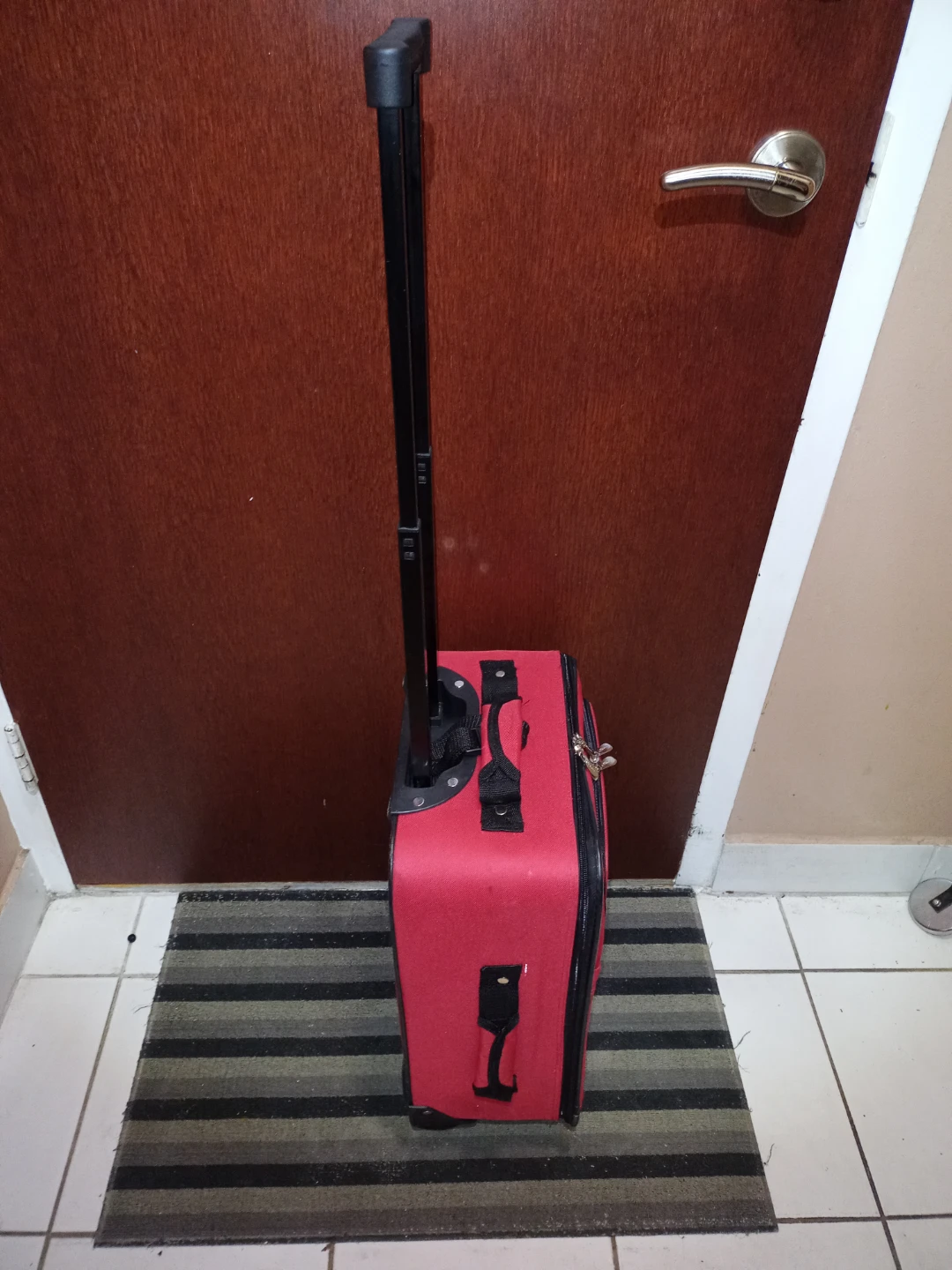 Small Luggage - photo 4