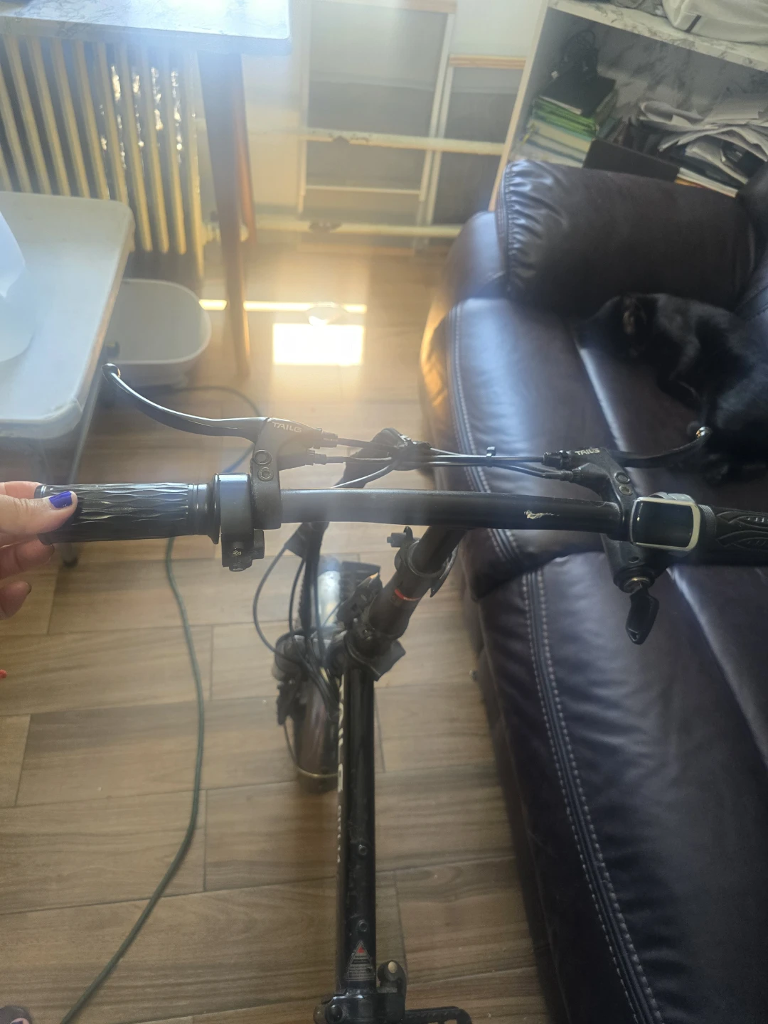TAILG CITI 14 Folding Electric Bike - photo 4