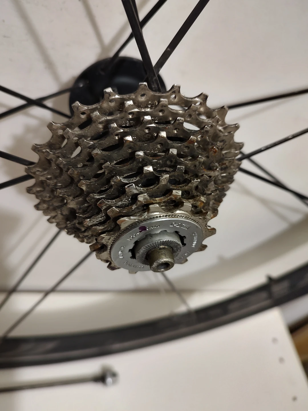 Gipiemme 715 rear Wheel with Giant Tire, 9spd Cassette - photo 3