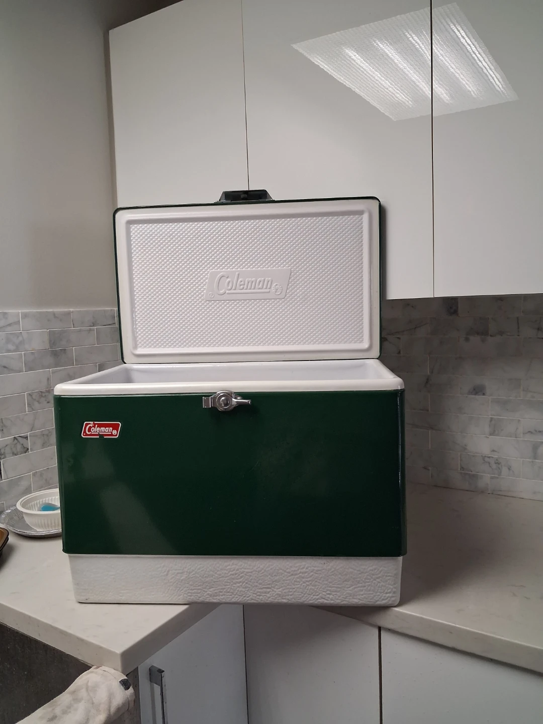 Coleman Cooler