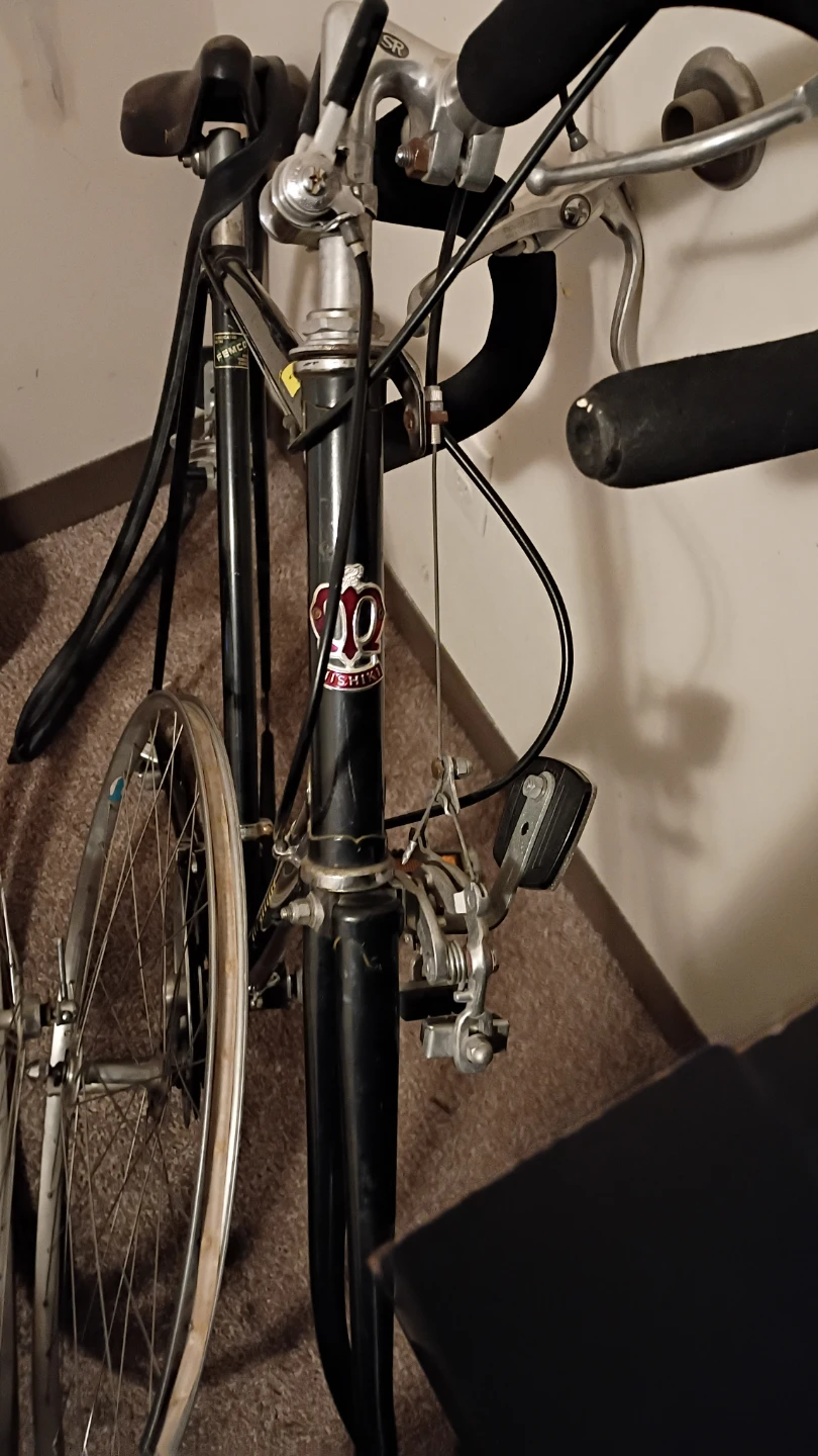 Vintage Nishiki Road Bike