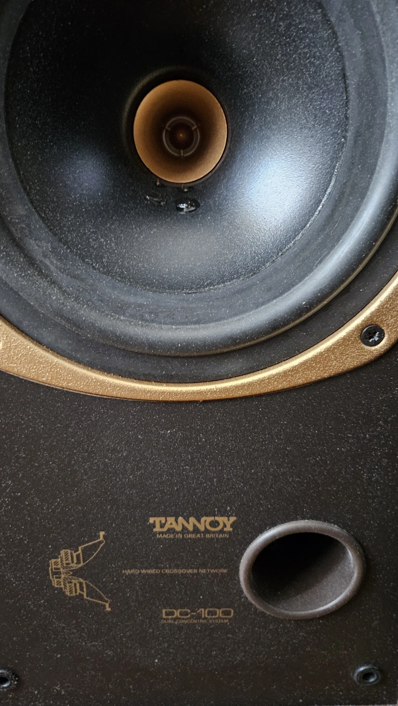 Tannoy DC-100 Vintage Bookshelf Speakers - photo 4