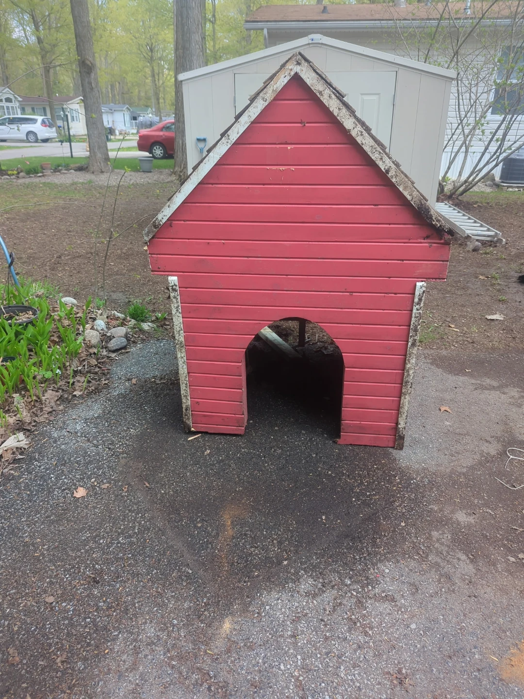 Red Wooden Dog House