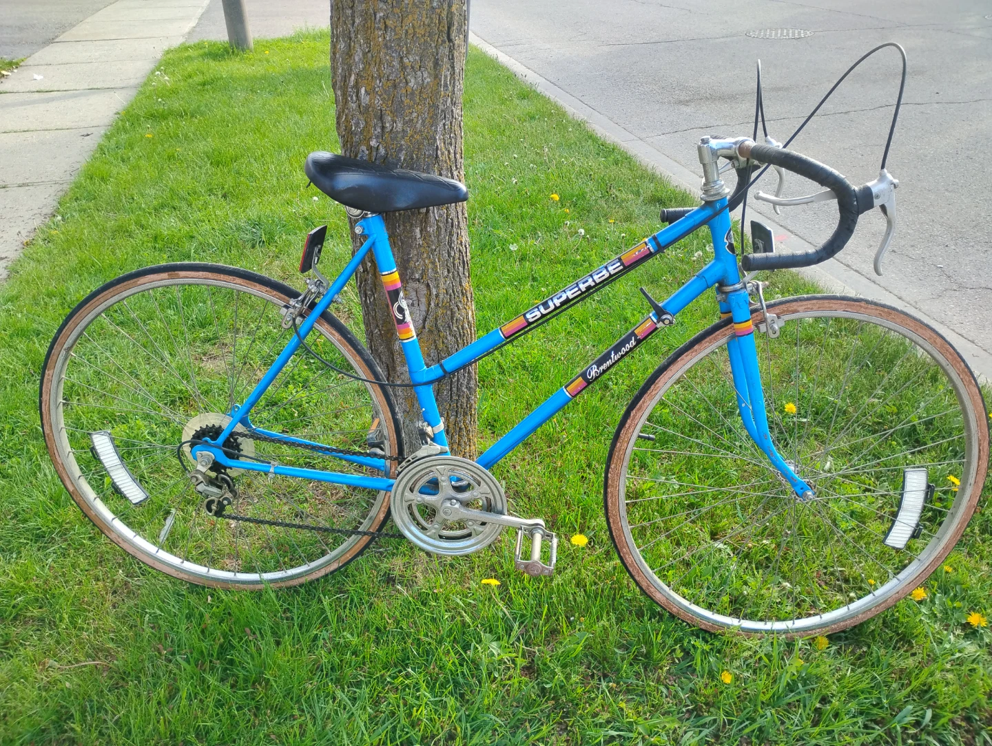 Superbe Brentwood Road Bike