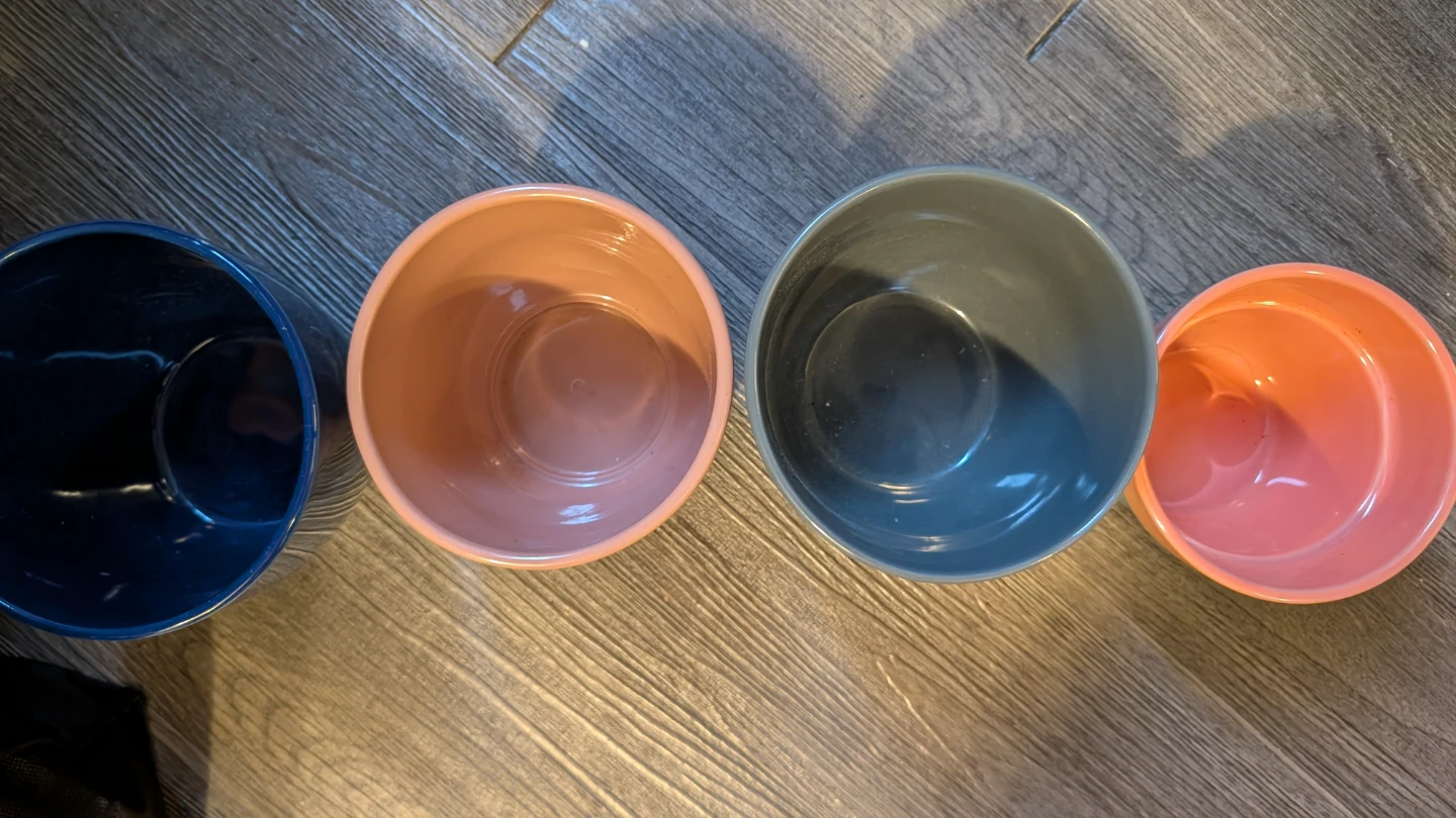 Set of 4 Coloured Pots - photo 2