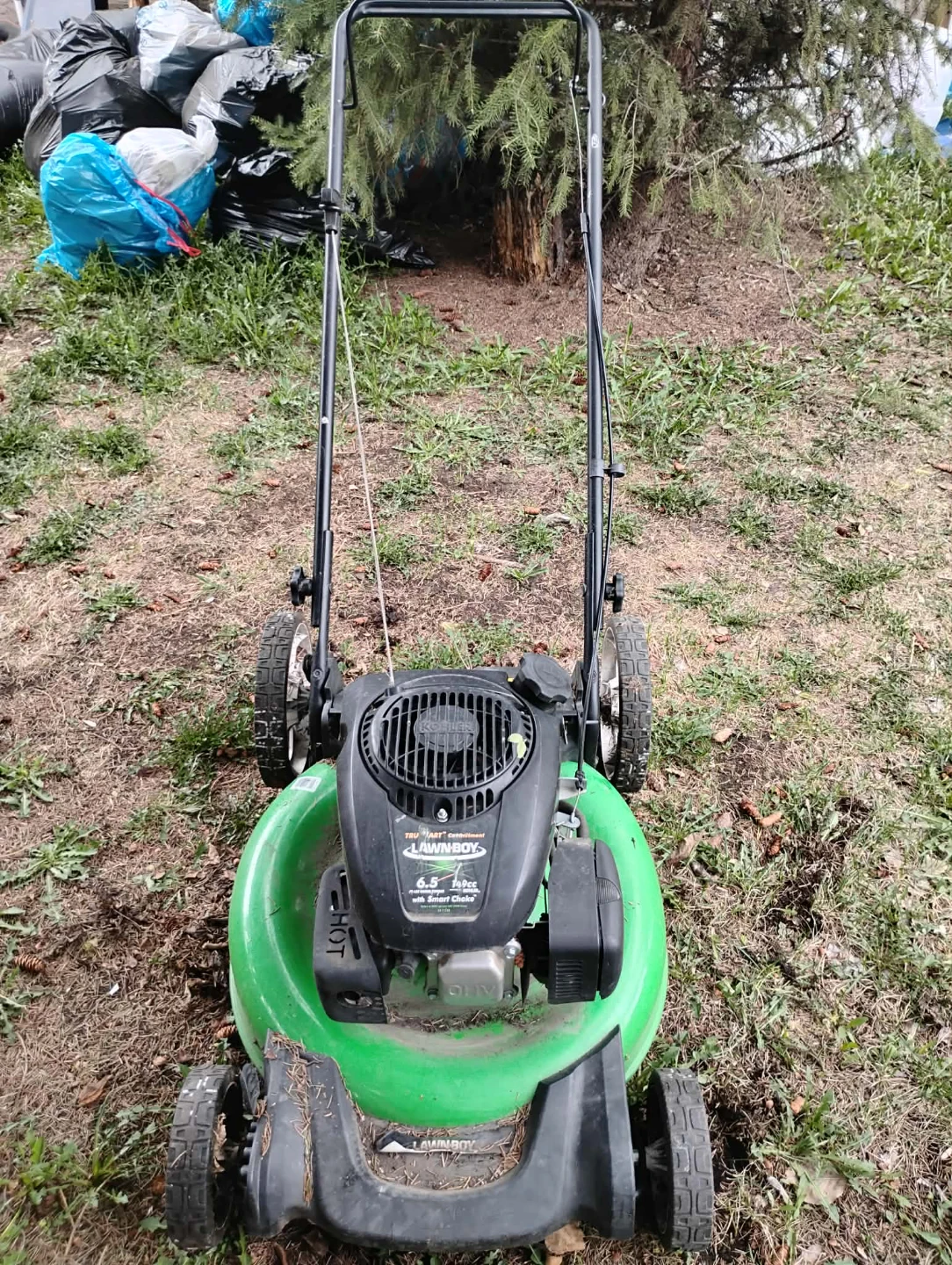 Lawn-Boy 6.5 ft-lbs Gross Torque 149cc Self-Propelled Mower