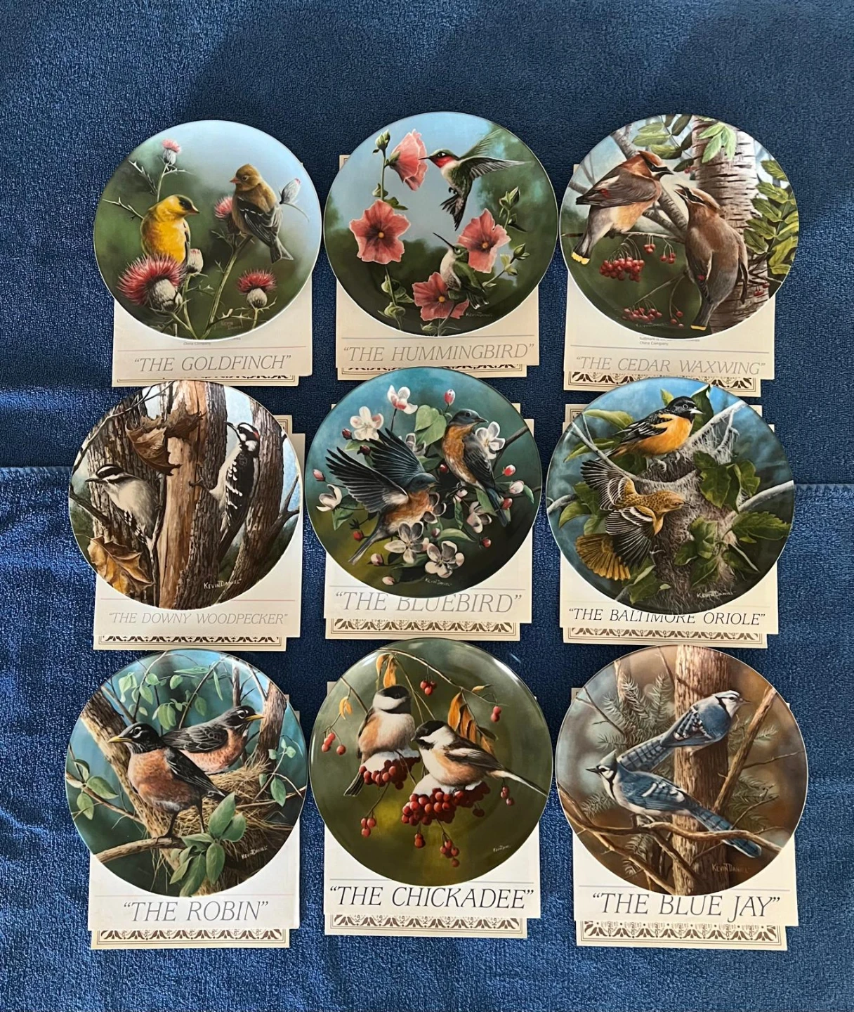 Birds of Your Garden Collection