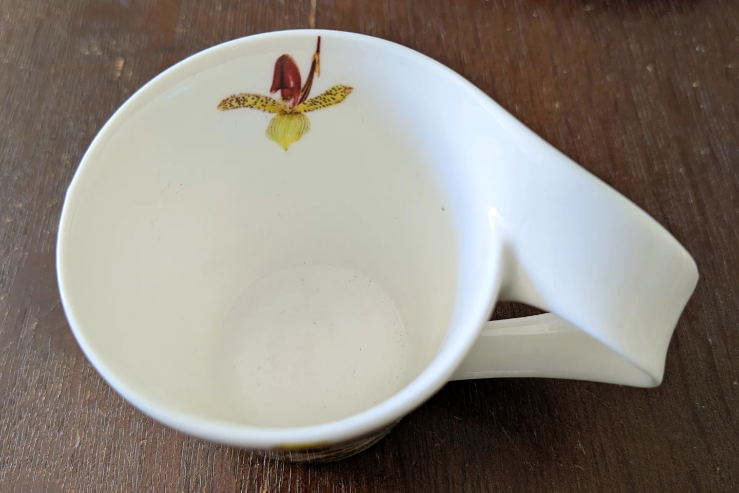 Royal Elfreda Fine Porcelain Cup & Saucer Set with Orchids - photo 3