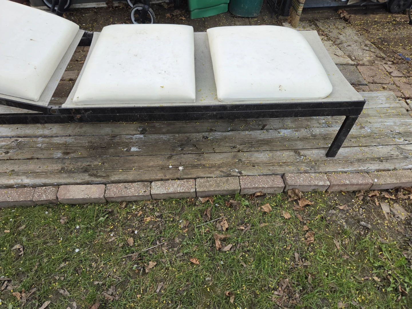 Outdoor Chaise Lounge Chair with Cushions - photo 2