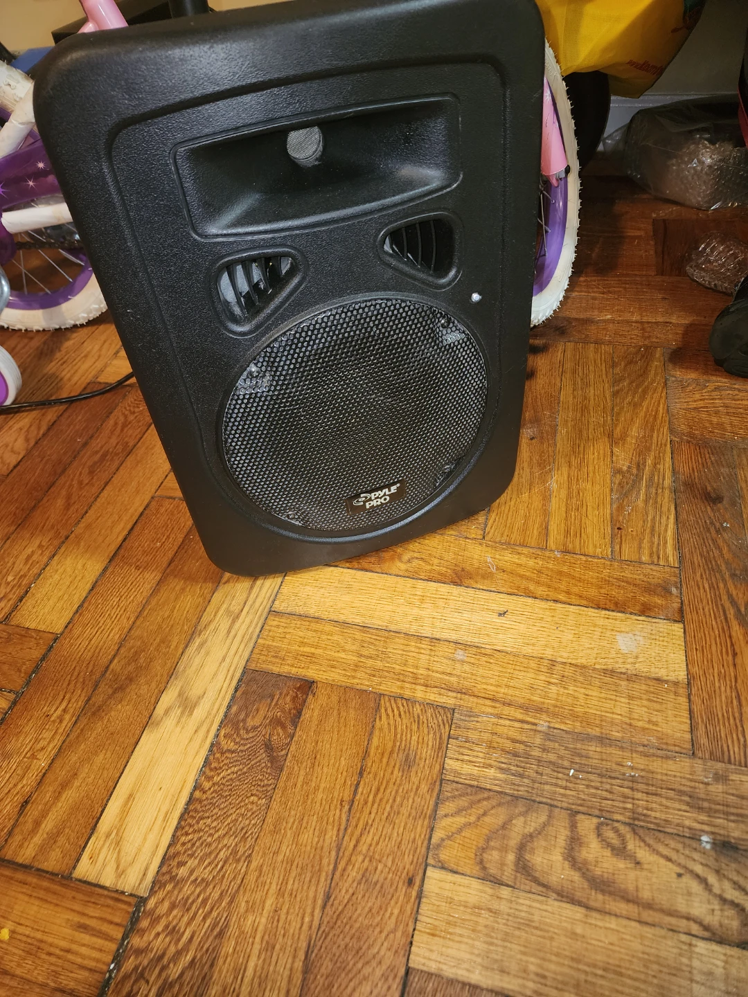 PRO 10" PA Speaker
