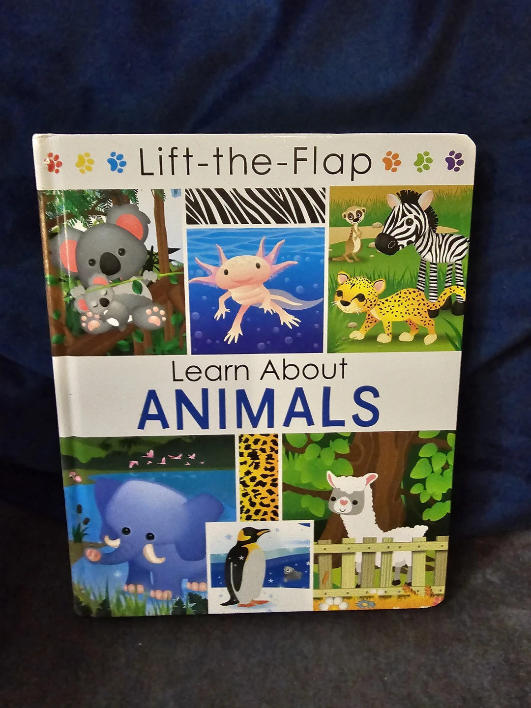 Lift-the-Flap Learn About Animals Board Book