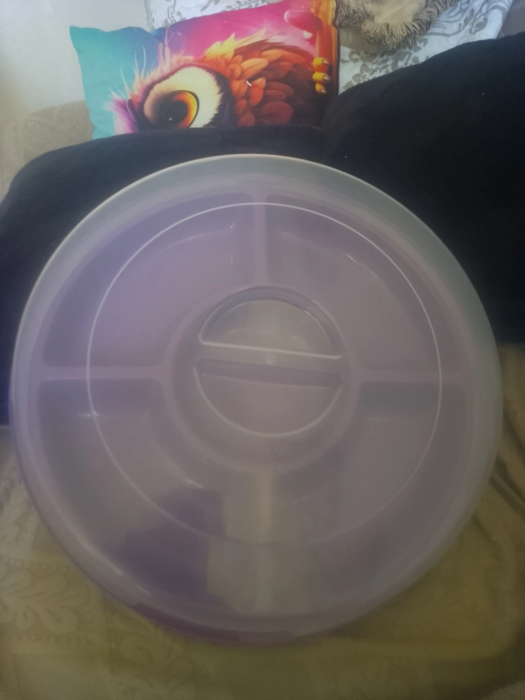Purple Divided Serving Tray with Lid